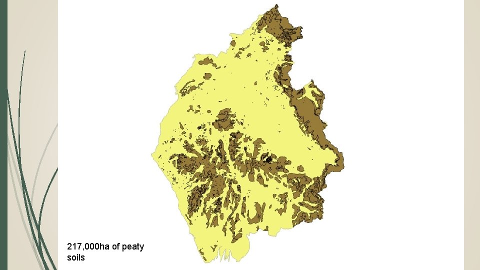 217, 000 ha of peaty soils 