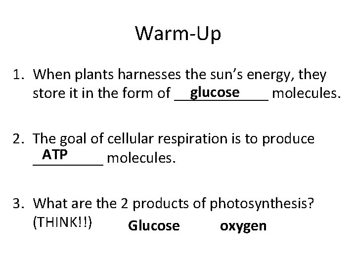 Warm-Up 1. When plants harnesses the sun’s energy, they glucose store it in the