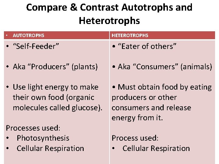 Compare & Contrast Autotrophs and Heterotrophs • AUTOTROPHS HETEROTROPHS • “Self-Feeder” • “Eater of