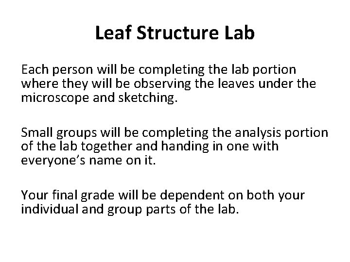 Leaf Structure Lab Each person will be completing the lab portion where they will