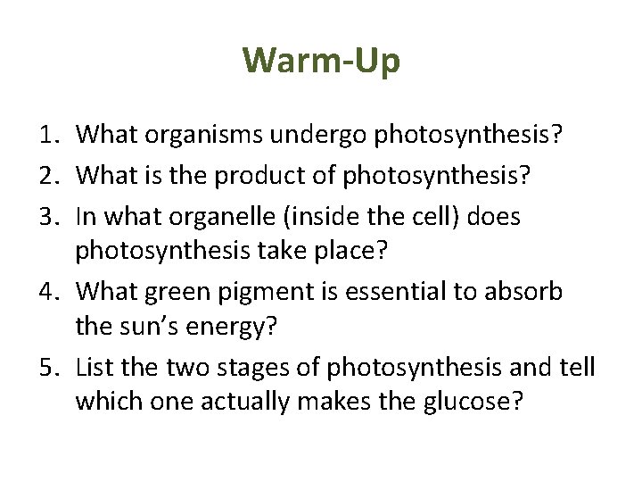 Warm-Up 1. What organisms undergo photosynthesis? 2. What is the product of photosynthesis? 3.