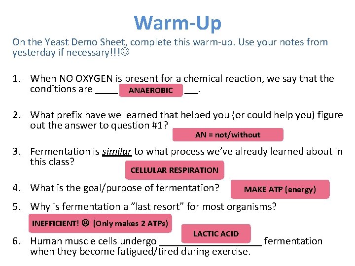 Warm-Up On the Yeast Demo Sheet, complete this warm-up. Use your notes from yesterday