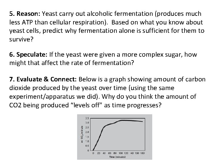 5. Reason: Yeast carry out alcoholic fermentation (produces much less ATP than cellular respiration).