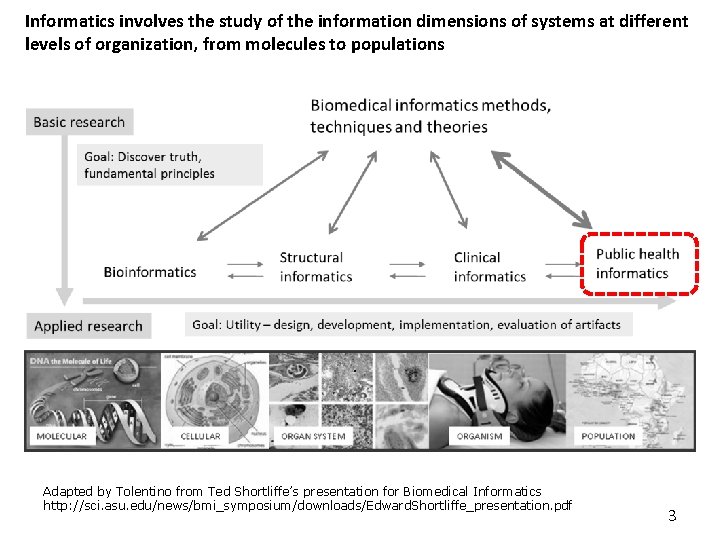 Informatics involves the study of the information dimensions of systems at different levels of