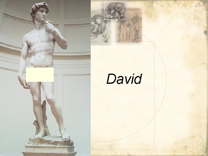 David 