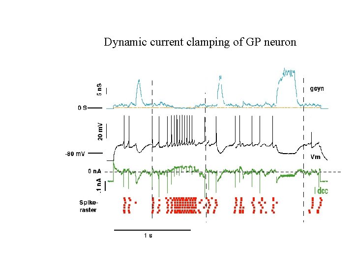 Dynamic current clamping of GP neuron 