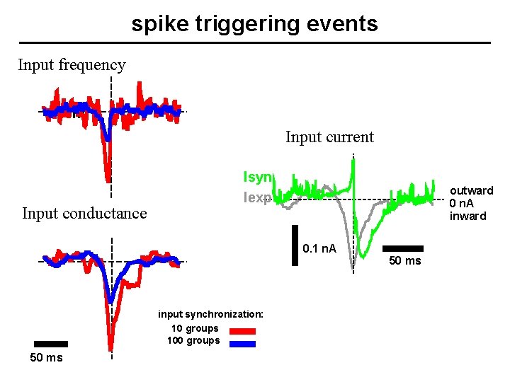 spike triggering events Input frequency 1. 0 Input current Input conductance Isyn Iexp outward