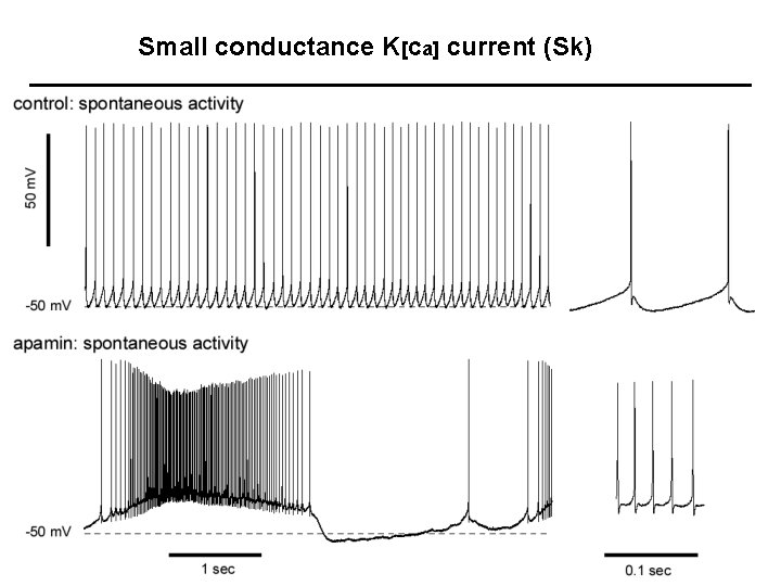 Small conductance K[Ca] current (Sk) 