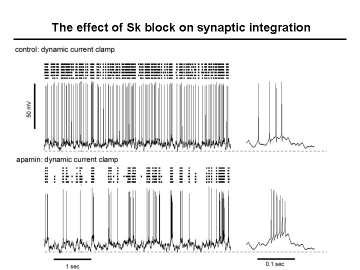 The effect of Sk block on synaptic integration 