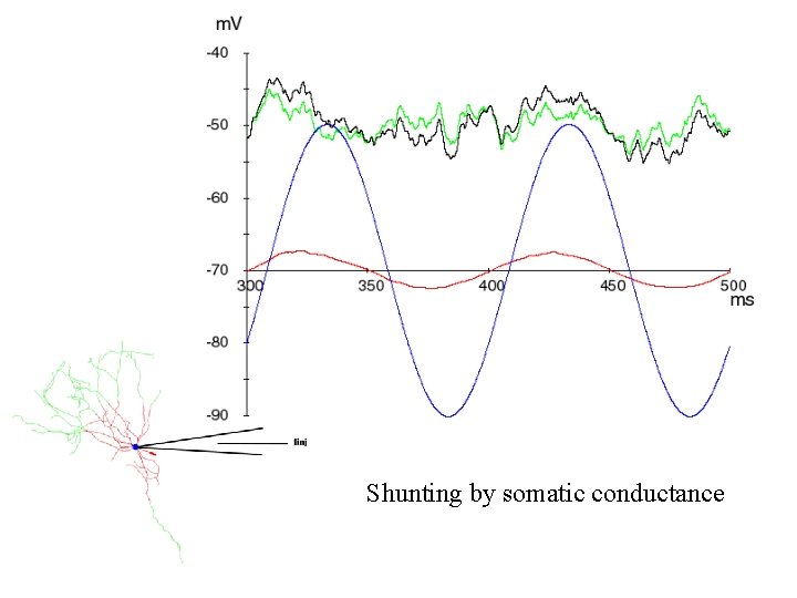 Shunting by somatic conductance 