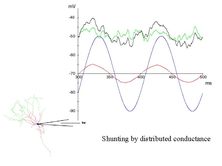 Shunting by distributed conductance 