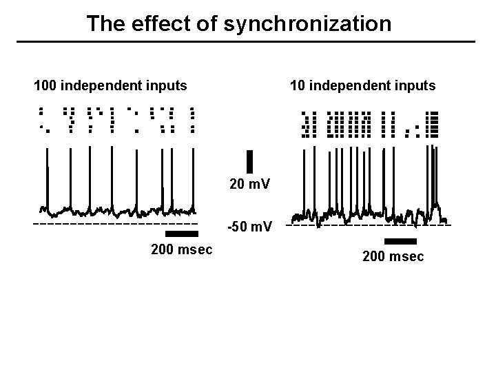 The effect of synchronization 100 independent inputs 10 independent inputs 20 m. V -50