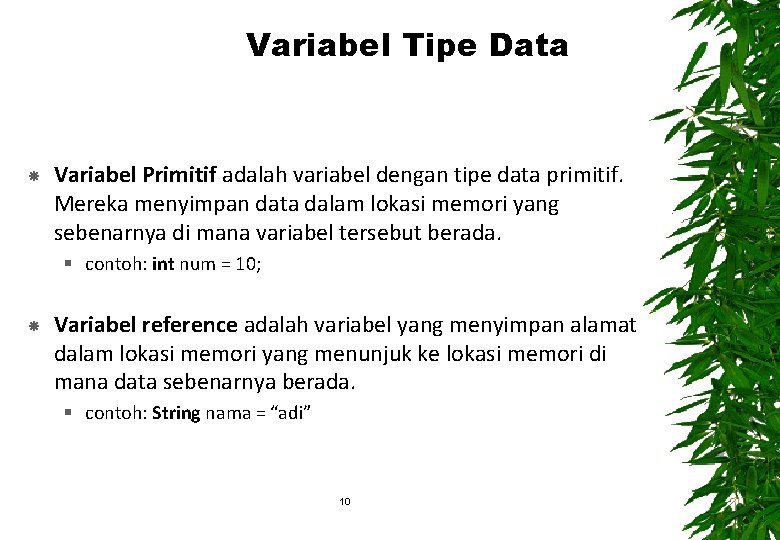 Variabel Tipe Data Variabel Primitif adalah variabel dengan tipe data primitif. Mereka menyimpan data