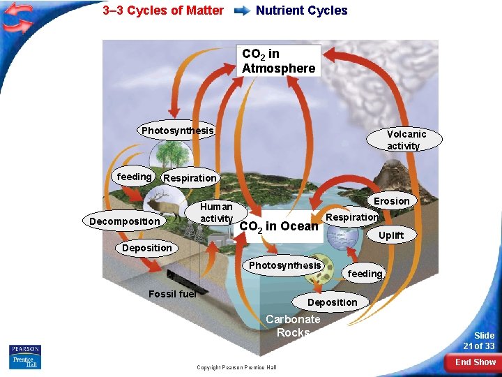 3– 3 Cycles of Matter Nutrient Cycles CO 2 in Atmosphere Photosynthesis feeding Volcanic