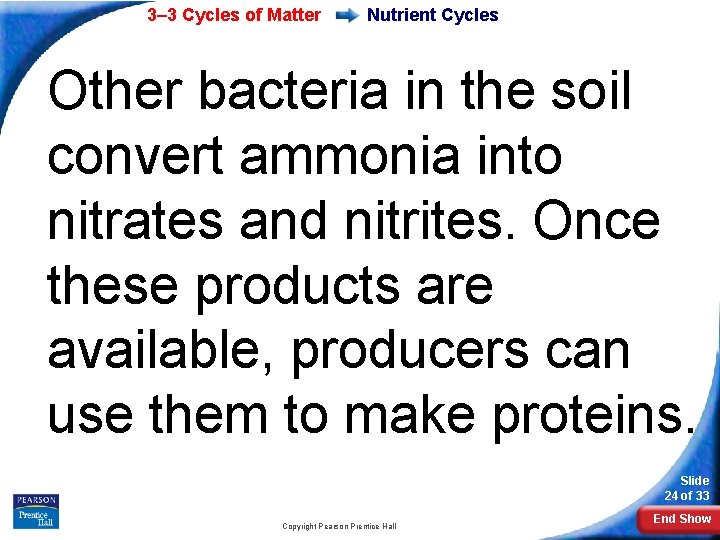 3– 3 Cycles of Matter Nutrient Cycles Other bacteria in the soil convert ammonia