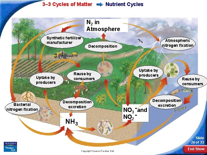 3– 3 Cycles of Matter Nutrient Cycles N 2 in Atmosphere Synthetic fertilizer manufacturer