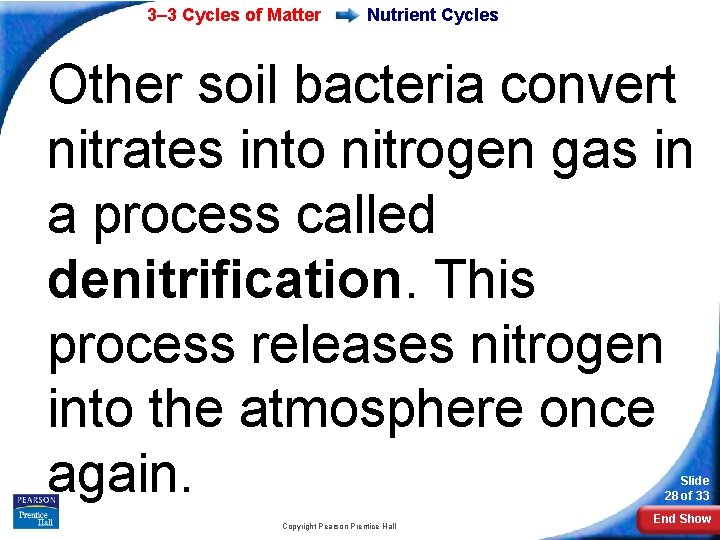 3– 3 Cycles of Matter Nutrient Cycles Other soil bacteria convert nitrates into nitrogen