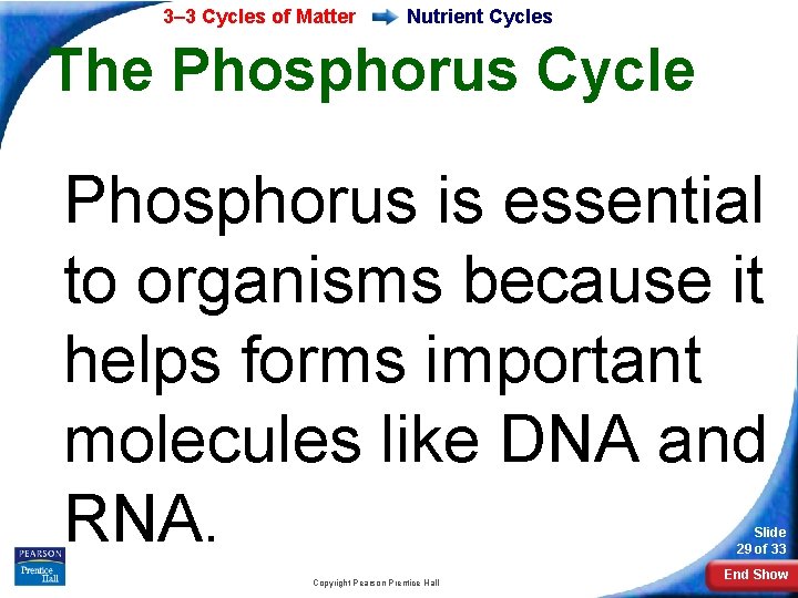 3– 3 Cycles of Matter Nutrient Cycles The Phosphorus Cycle Phosphorus is essential to