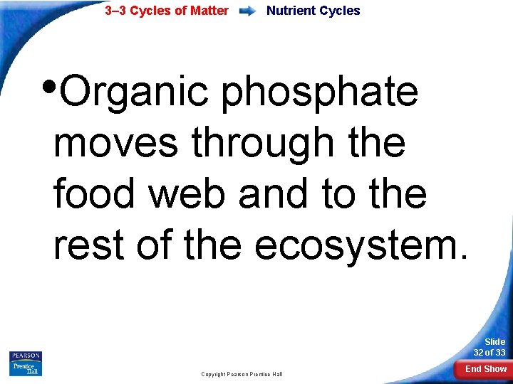 3– 3 Cycles of Matter Nutrient Cycles • Organic phosphate moves through the food