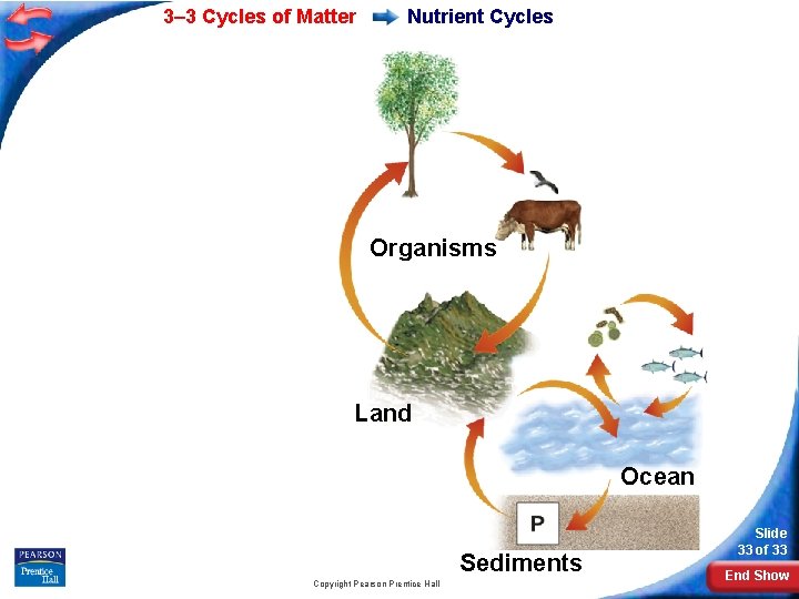 3– 3 Cycles of Matter Nutrient Cycles Organisms Land Ocean Sediments Copyright Pearson Prentice