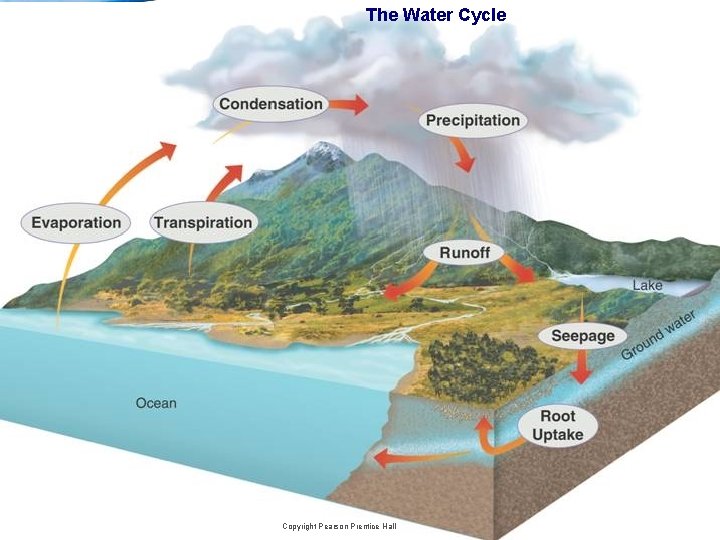 3– 3 Cycles of Matter The Water Cycle Slide 7 of 33 Copyright Pearson