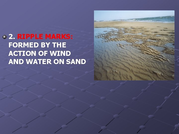 2. RIPPLE MARKS: FORMED BY THE ACTION OF WIND AND WATER ON SAND 