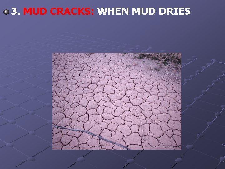 3. MUD CRACKS: WHEN MUD DRIES 