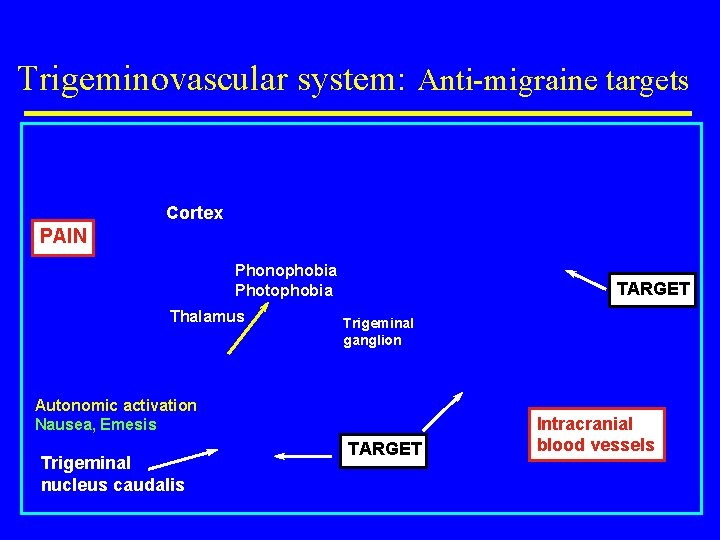 Trigeminovascular system: Anti-migraine targets PAIN Cortex Higher CNS Centres Phonophobia Photophobia Thalamus TARGET Trigeminal