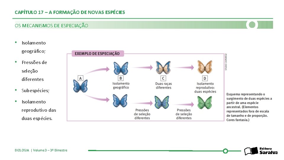 CAPÍTULO 17 – A FORMAÇÃO DE NOVAS ESPÉCIES OS MECANISMOS DE ESPECIAÇÃO • Isolamento