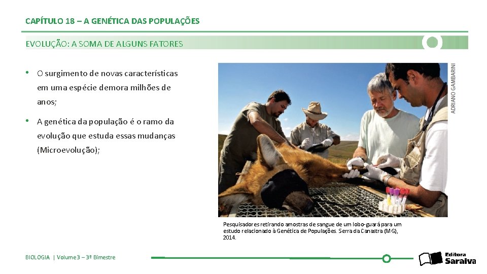 CAPÍTULO 18 – A GENÉTICA DAS POPULAÇÕES EVOLUÇÃO: A SOMA DE ALGUNS FATORES •