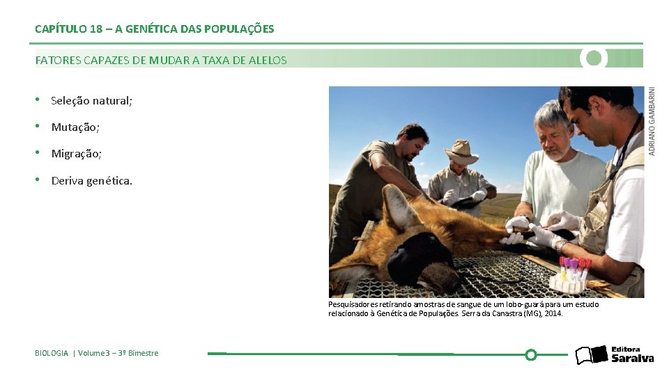 CAPÍTULO 18 – A GENÉTICA DAS POPULAÇÕES FATORES CAPAZES DE MUDAR A TAXA DE