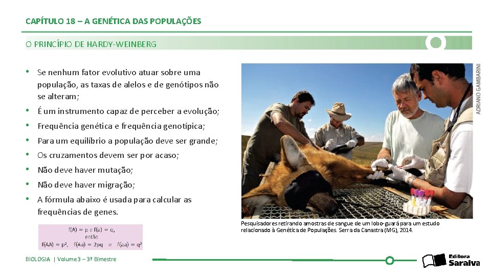 CAPÍTULO 18 – A GENÉTICA DAS POPULAÇÕES O PRINCÍPIO DE HARDY-WEINBERG • Se nenhum