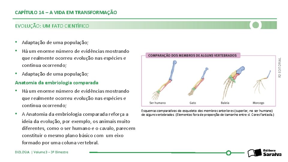 CAPÍTULO 14 – A VIDA EM TRANSFORMAÇÃO EVOLUÇÃO: UM FATO CIENTÍFICO • Adaptação de