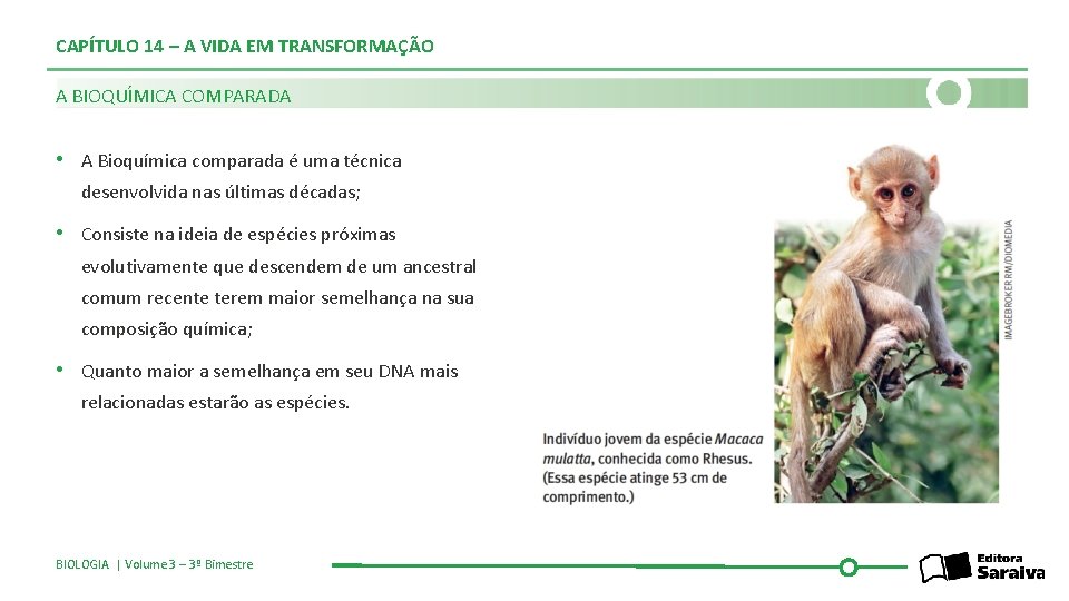 CAPÍTULO 14 – A VIDA EM TRANSFORMAÇÃO A BIOQUÍMICA COMPARADA • A Bioquímica comparada