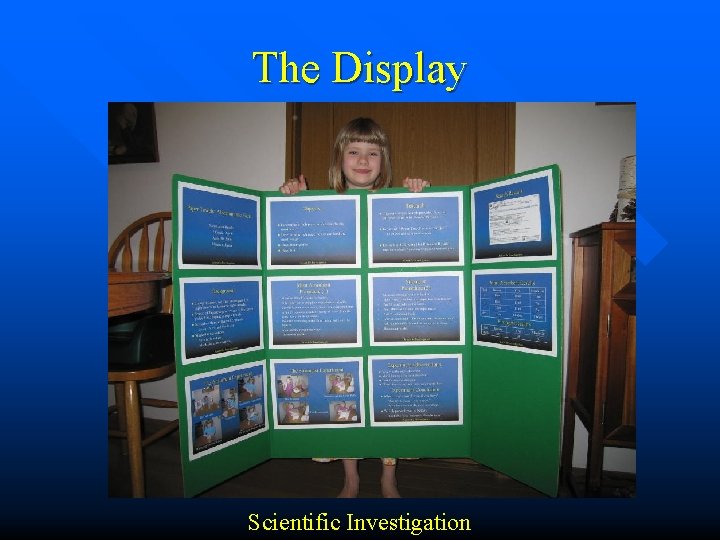The Display Scientific Investigation 
