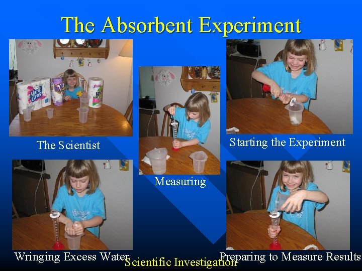 The Absorbent Experiment Starting the Experiment The Scientist Measuring Wringing Excess Water. Scientific Investigation