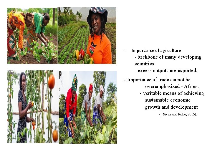 - Importance of agriculture - backbone of many developing countries - excess outputs are