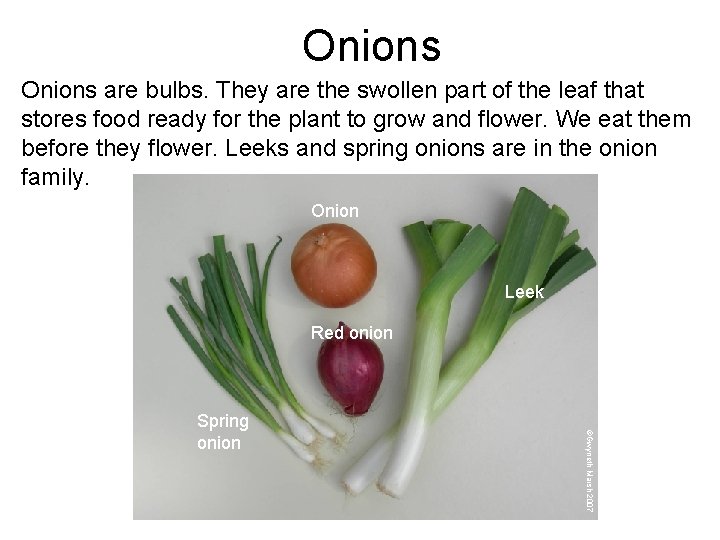 Onions are bulbs. They are the swollen part of the leaf that stores food