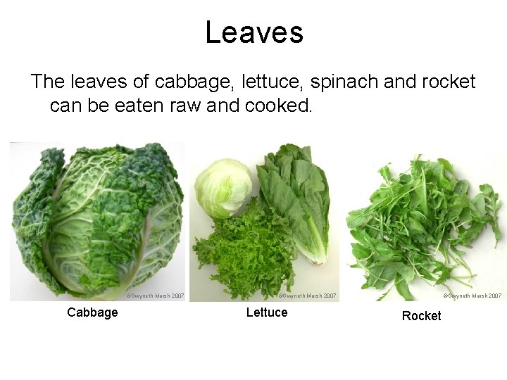 Leaves The leaves of cabbage, lettuce, spinach and rocket can be eaten raw and