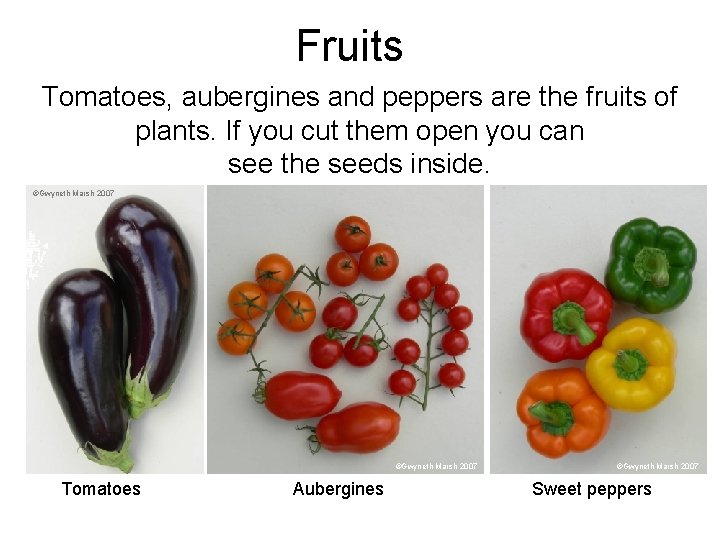 Fruits Tomatoes, aubergines and peppers are the fruits of plants. If you cut them