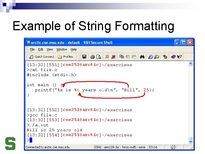 Example of String Formatting Michigan State University CSE 251, Spring 2009 
