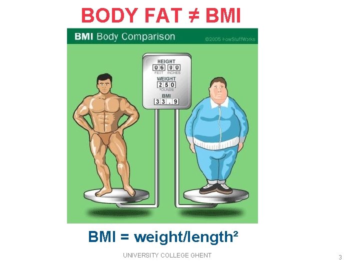 BODY FAT ≠ BMI = weight/length² UNIVERSITY COLLEGE GHENT 3 