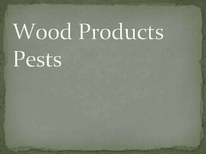 Wood Products Pests 