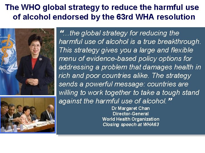 The WHO global strategy to reduce the harmful use of alcohol endorsed by the
