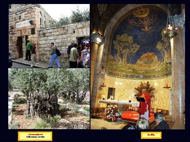 Getsemanski vrt Gethsemane Garden Bazilika 