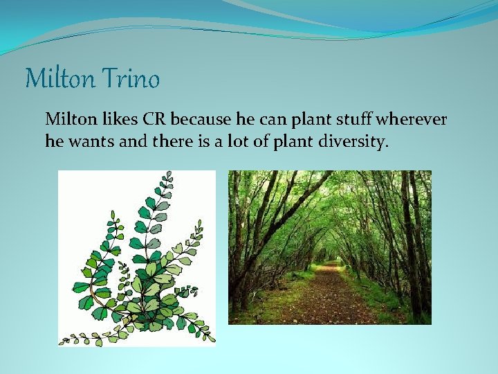 Milton Trino Milton likes CR because he can plant stuff wherever he wants and