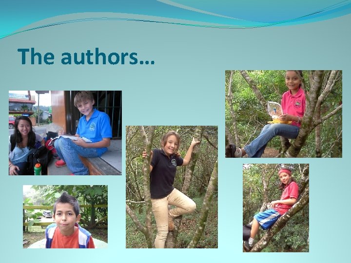 The authors… 