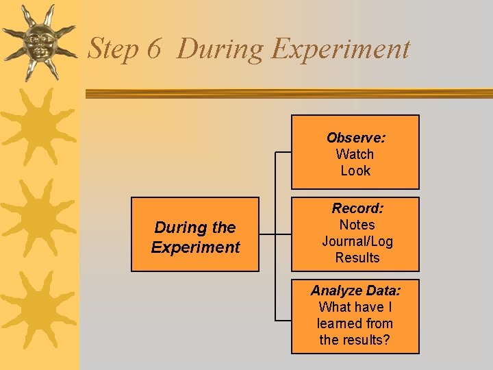 Step 6 During Experiment Observe: Watch Look During the Experiment Record: Notes Journal/Log Results
