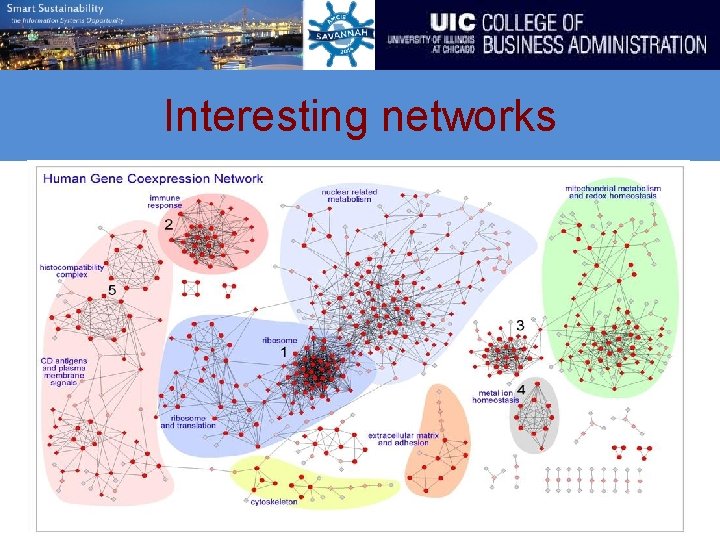 Interesting networks 