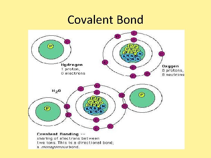 Covalent Bond Covalent Bond